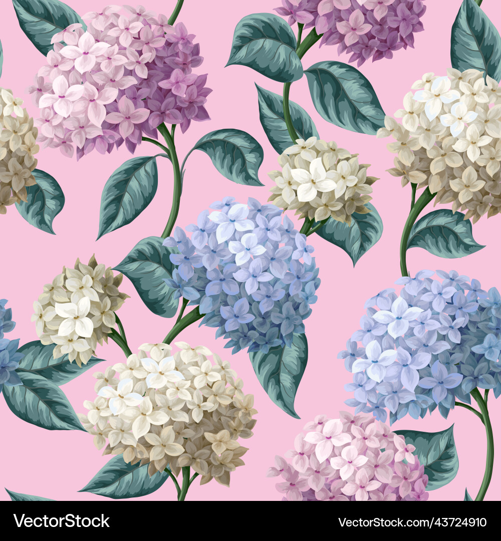 Seamless botanical pattern with hydrangeas Seamless botanical pattern with hydrangeas vector image