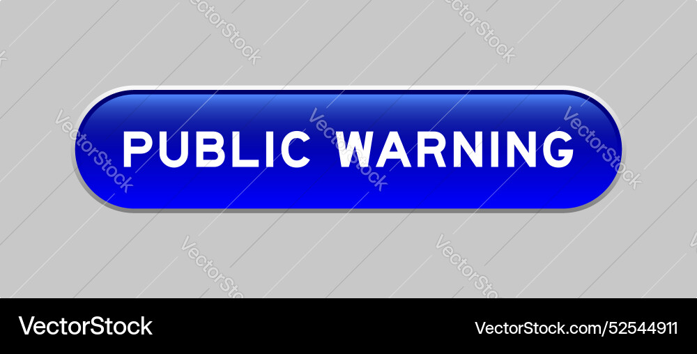 Blue color capsule shape button with word public vector image