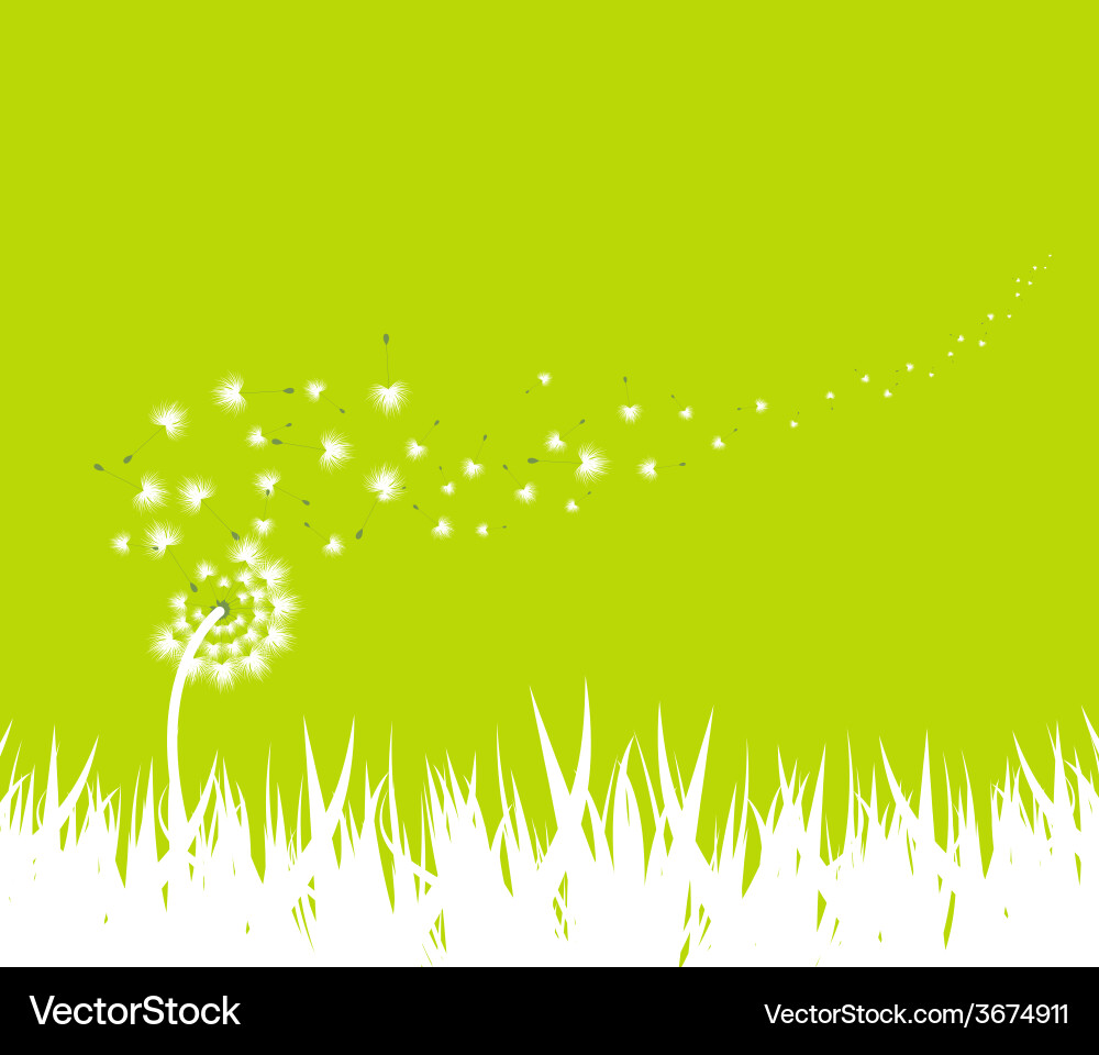 Dandelion Spring Field Vector Image