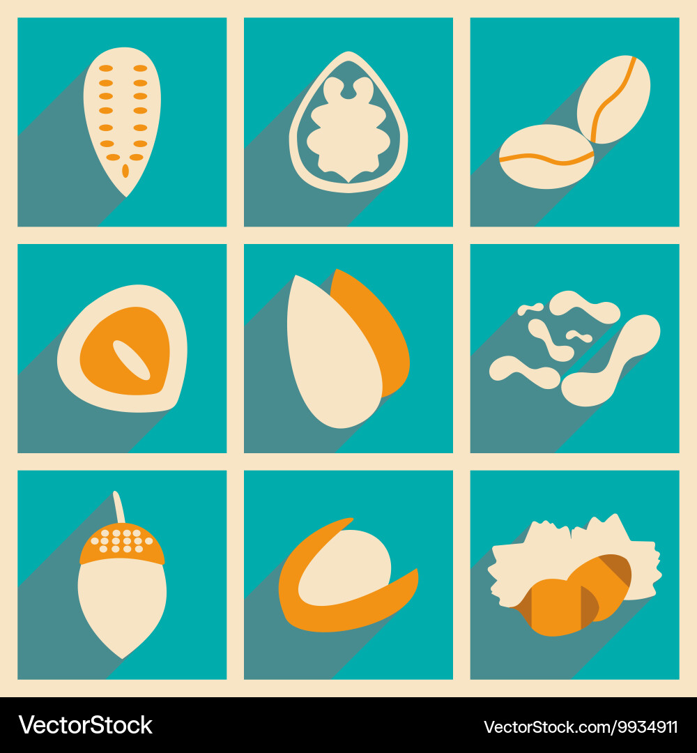 Flat with shadow concept and mobile application vector image