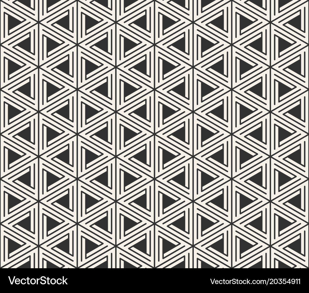 Modern Triangle Line Pattern vector image