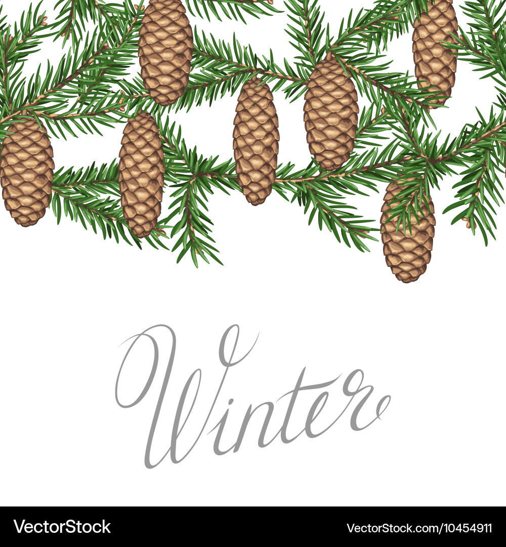 Seamless border with fir branches and cones vector image