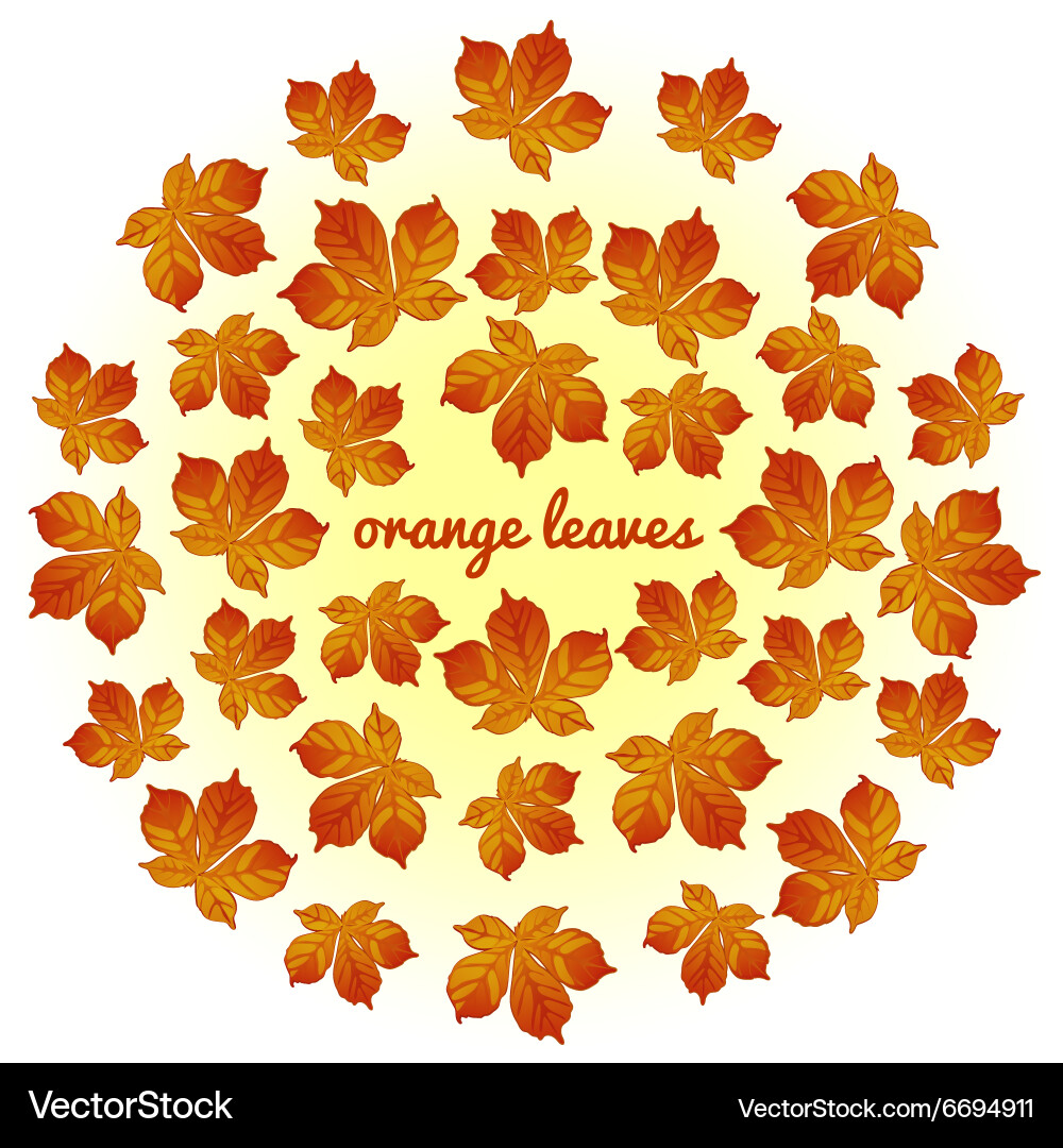Whirlwind of orange leaves on white background Vector Image