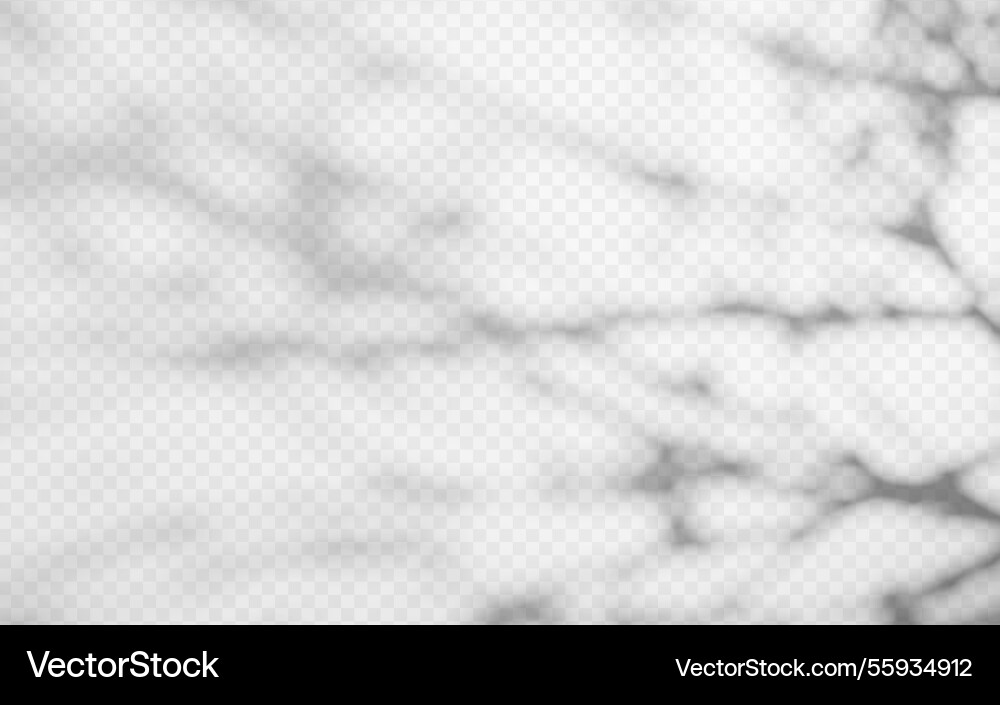 Abstract shadow overlay from tree branch Abstract shadow overlay from tree branch vector image