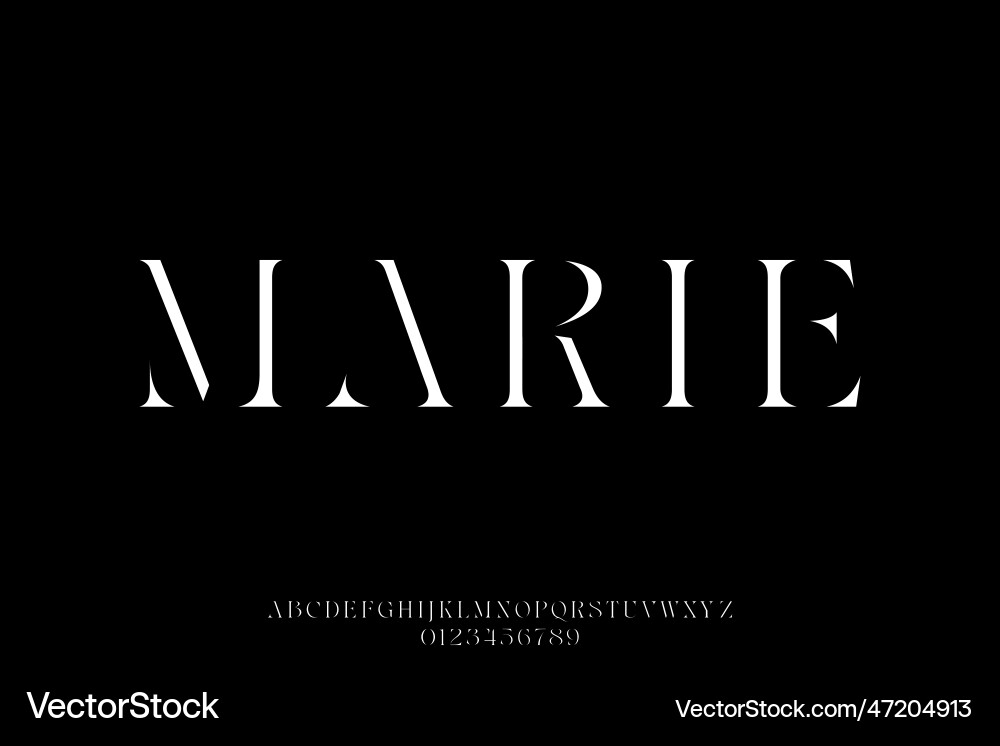 Abstract and elegant serif stencil type style font Vector Image