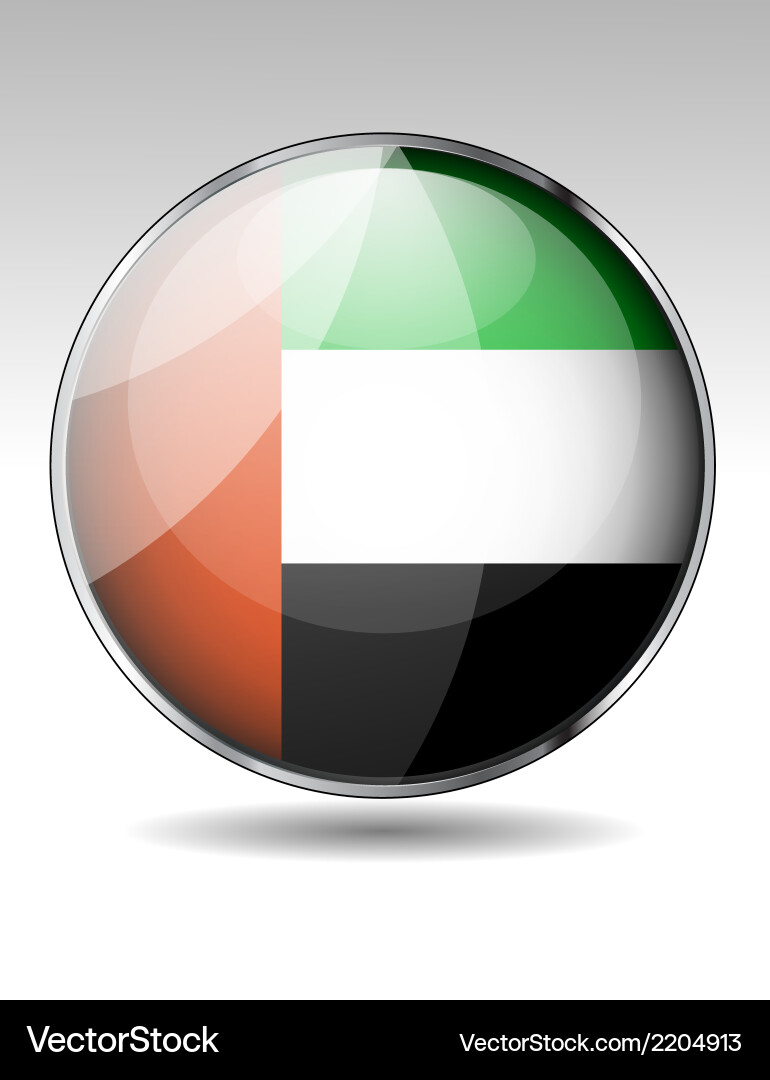 Flag button design elements Vector Image