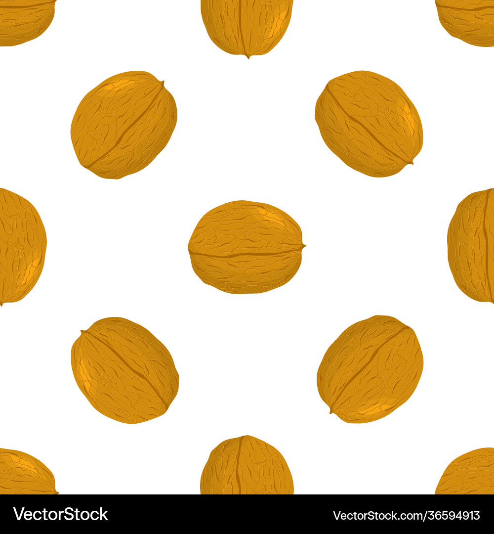 On theme big pattern identical types walnut On theme big pattern identical types walnut Vector Image