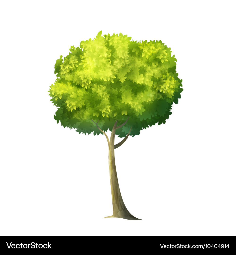 Big green tree Royalty Free Vector Image - VectorStock