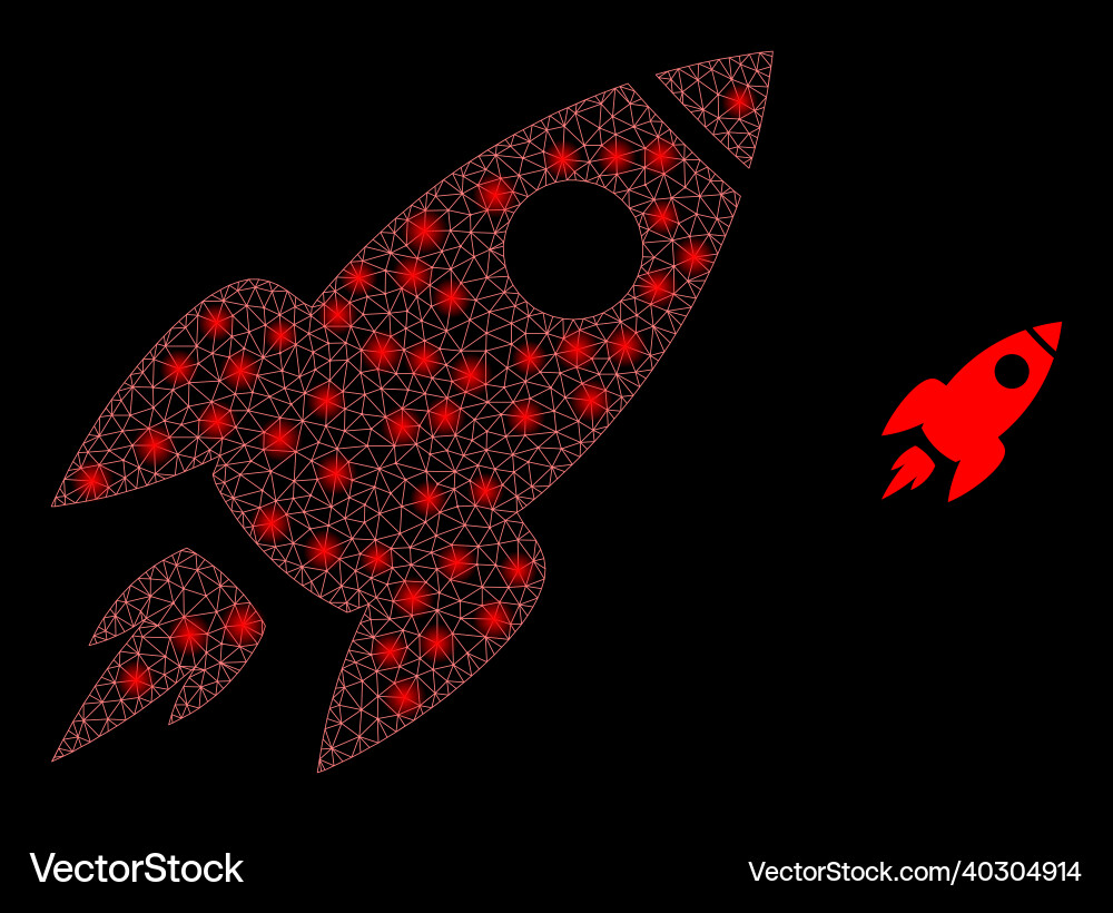 Mesh web space rocket with majestic network vector image