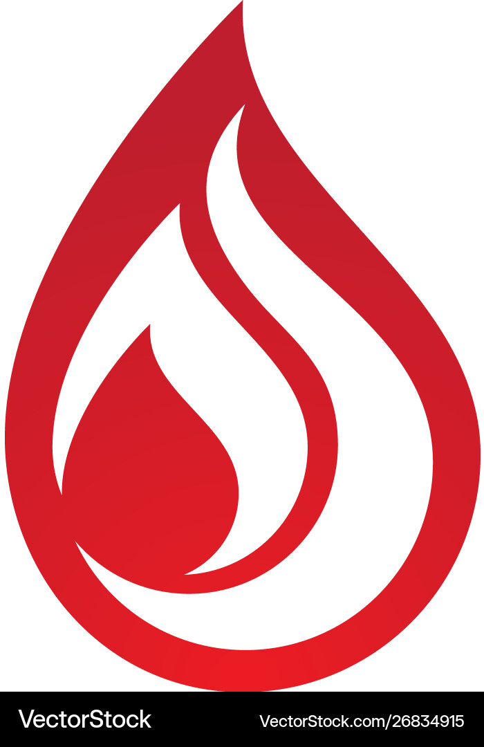 Fire flame logo template vector image