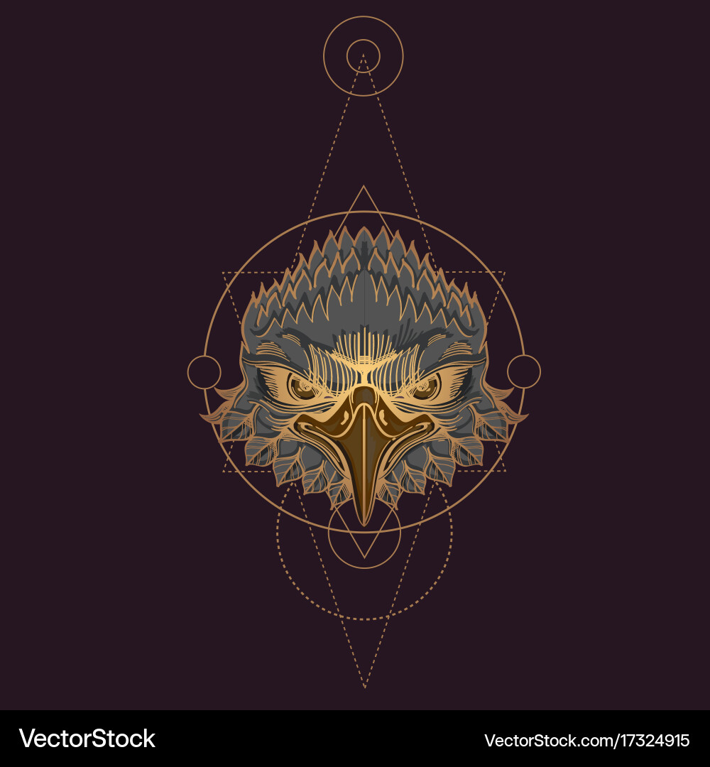 Muzzle of an eagle for creating sketches Vector Image