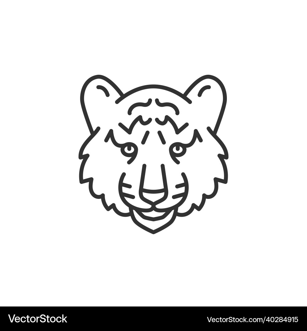 Tiger face symbol chinese new year vector image