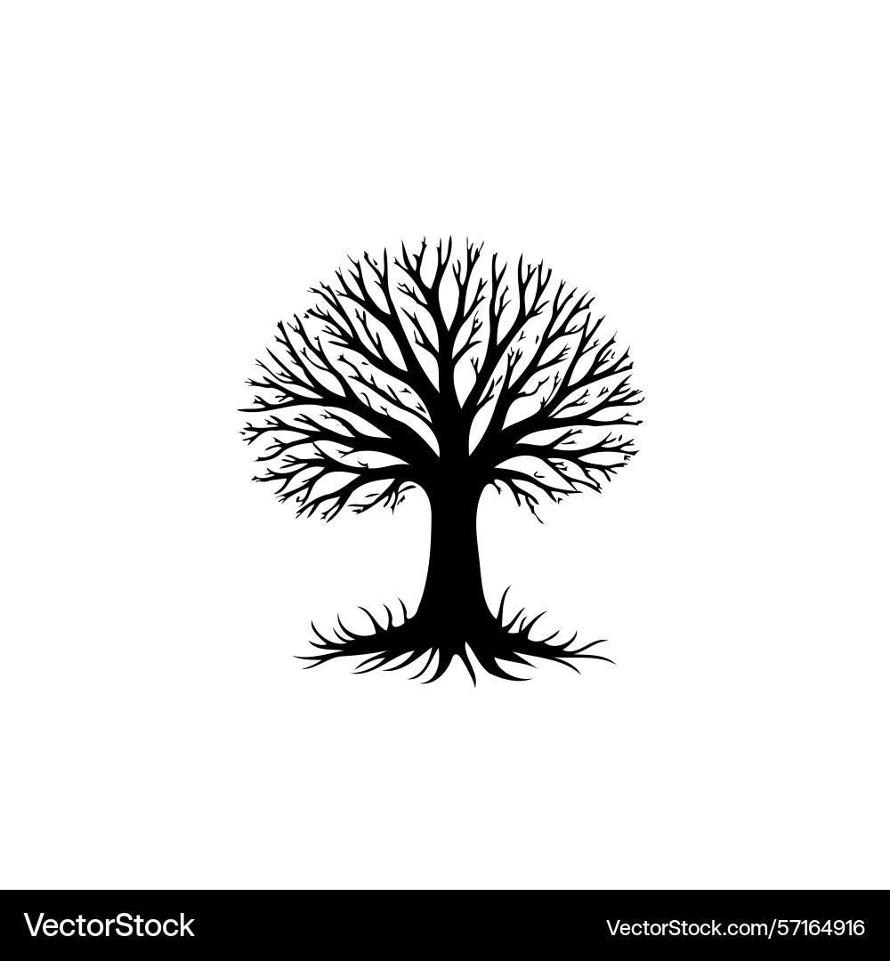 Silhouette of a bare tree with intricate branches vector image
