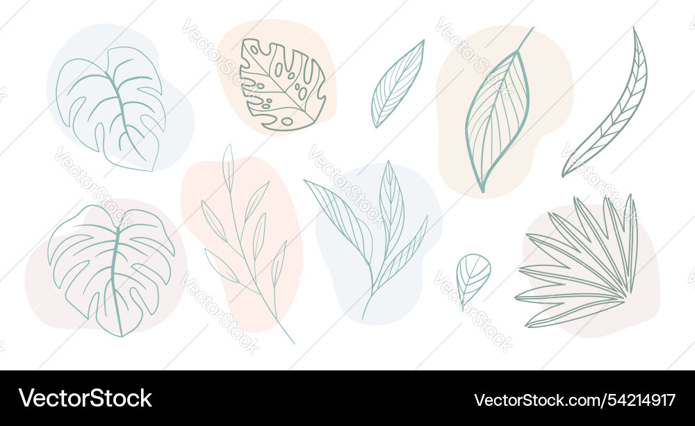 Abstract design elements set of contour exotic Abstract design elements set of contour exotic Vector Image