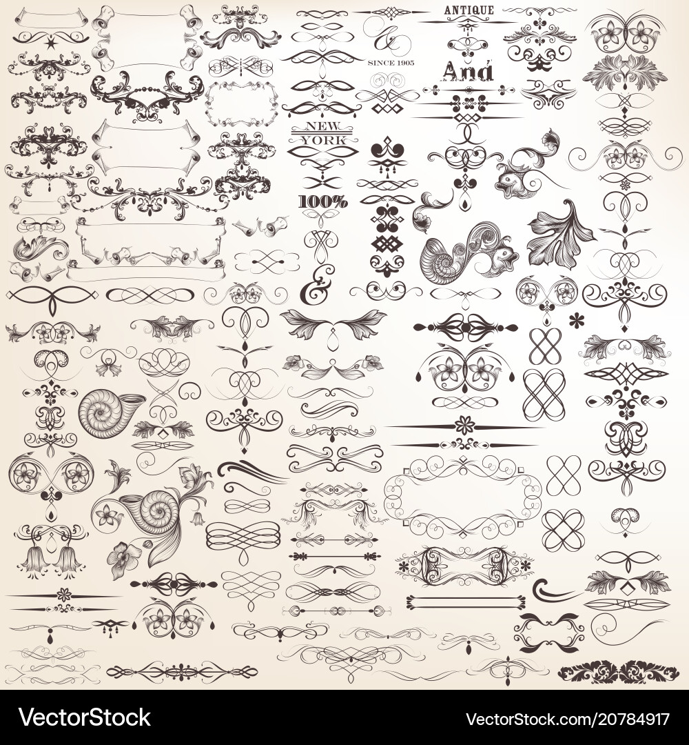Calligraphic Decorative Elements vector image