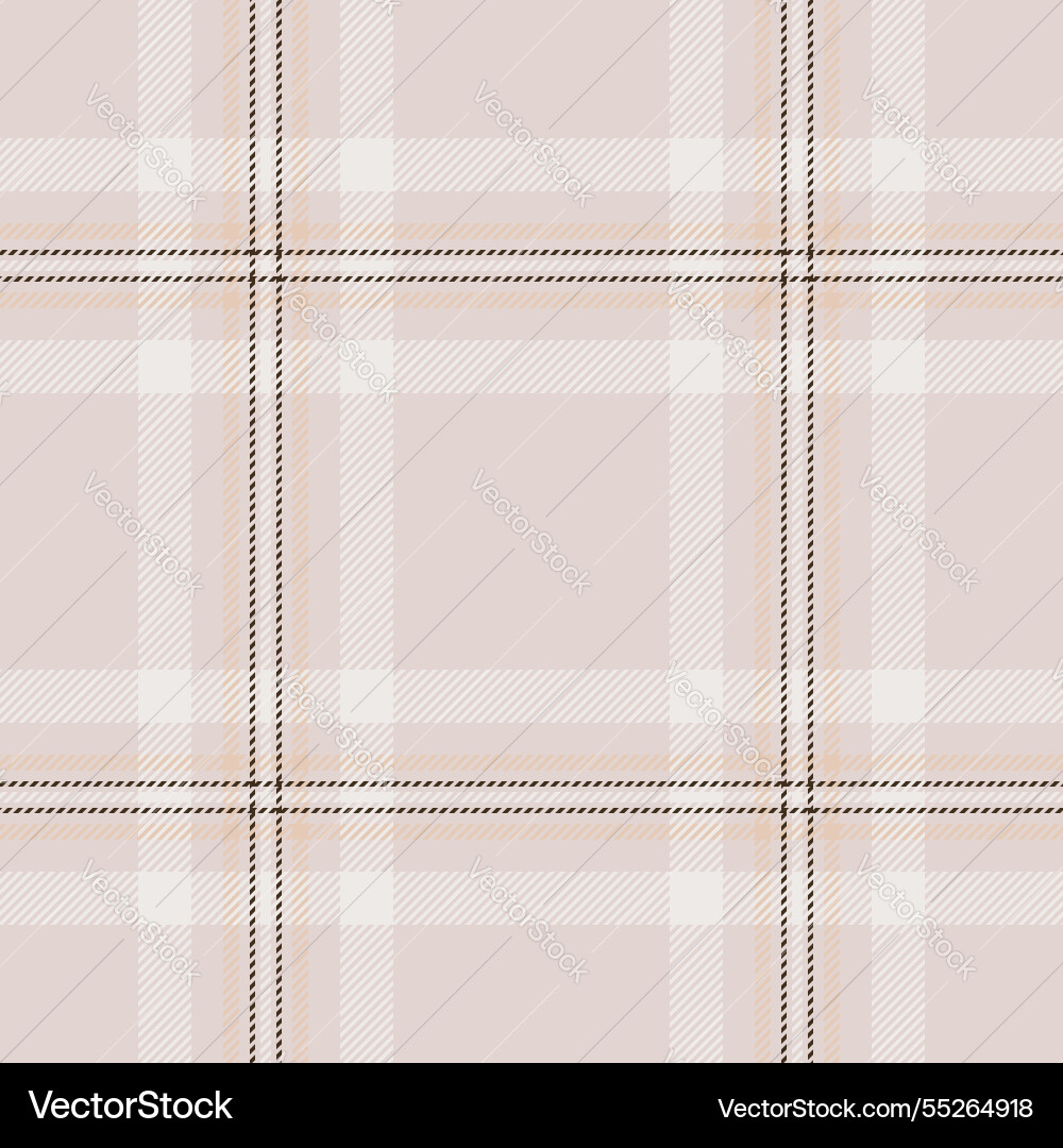 Individuality pattern texture frame fabric check vector image