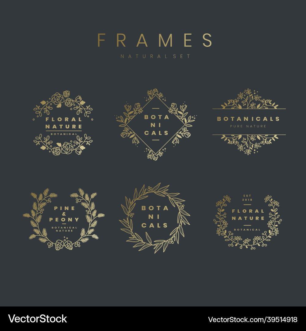 Set of botanical frame design elements Vector Image