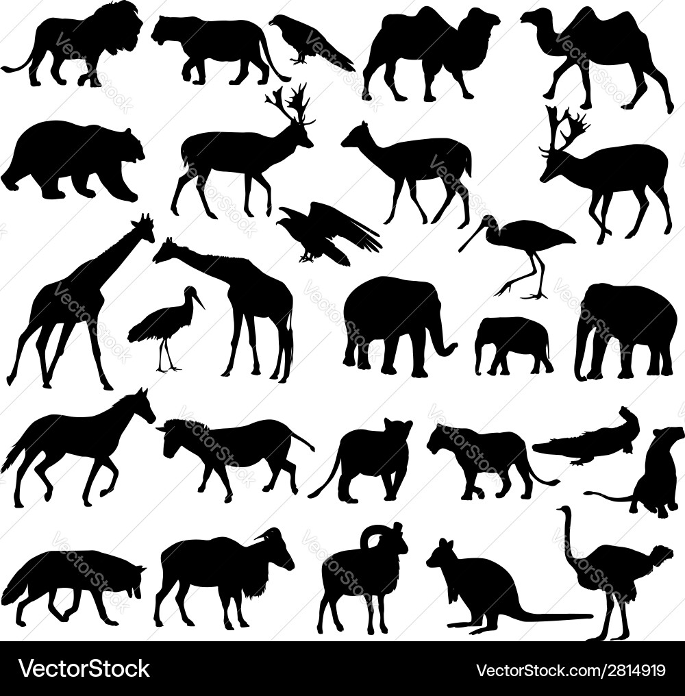 Animal Silhouettes Collection Vector Image