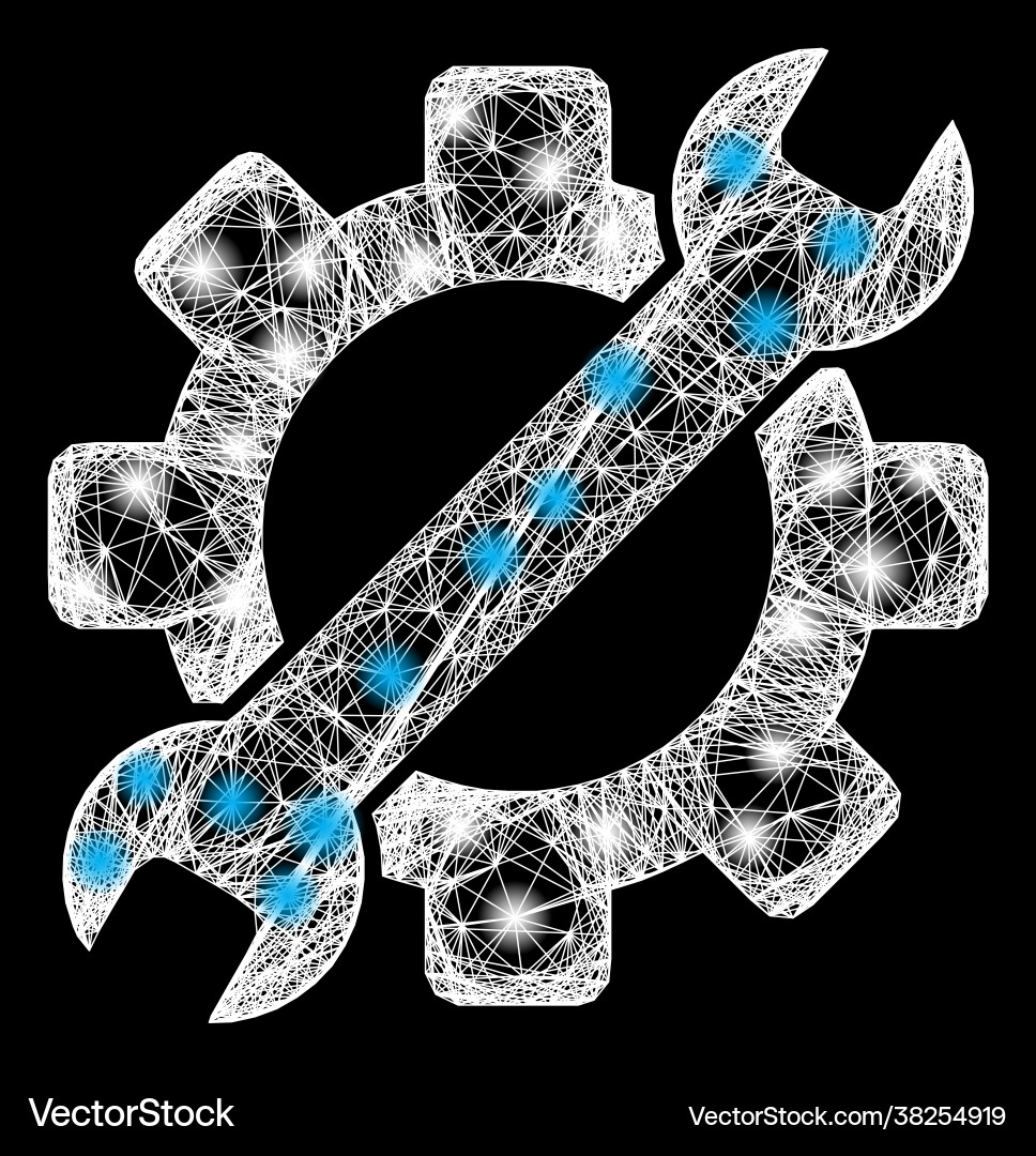Net gear tools web mesh with bright flash nodes Net gear tools web mesh with bright flash nodes Vector Image