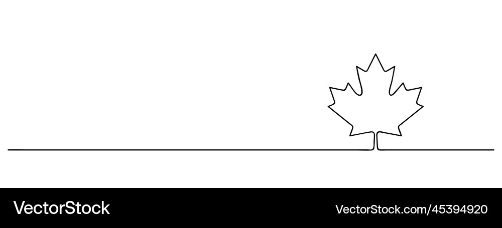 Maple leaf continuous one line drawing Vector Image