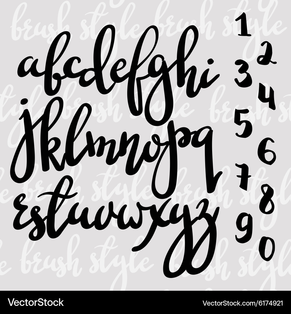 Elegant Brush Script Font - Calligraphy Style vector image