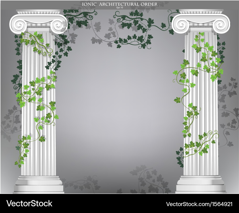 Ionic Column Background with Ivy vector image