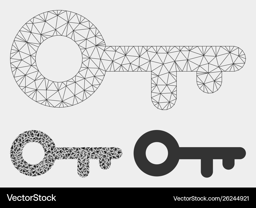 Key mesh wire frame model and triangle Key mesh wire frame model and triangle vector image