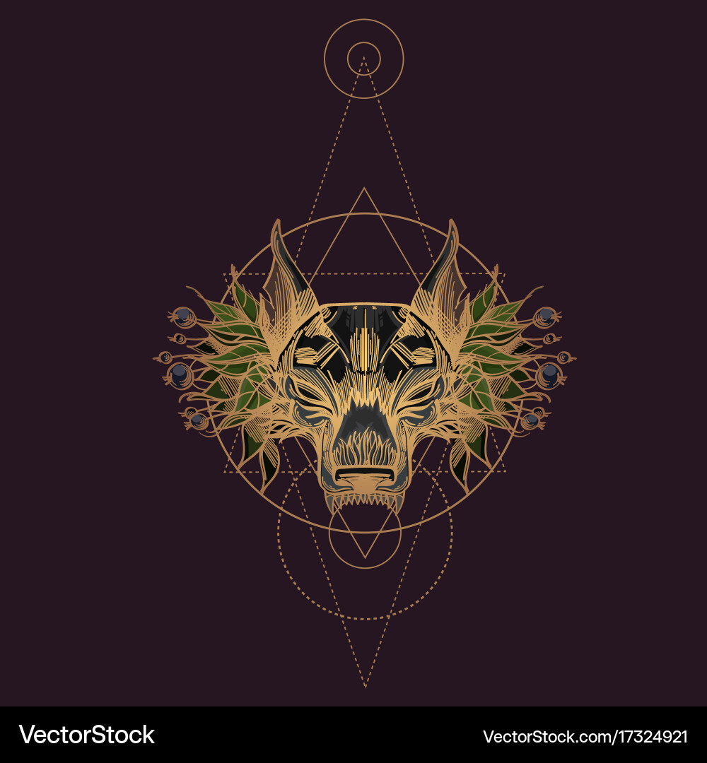 Muzzle of a wolf is an for creating sketches vector image