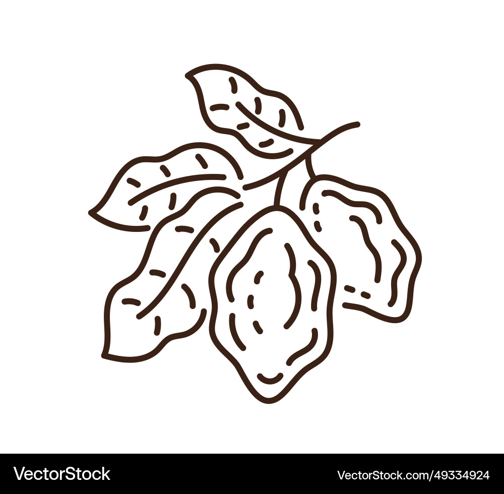 Cocoa icon line editable outline stroke Vector Image