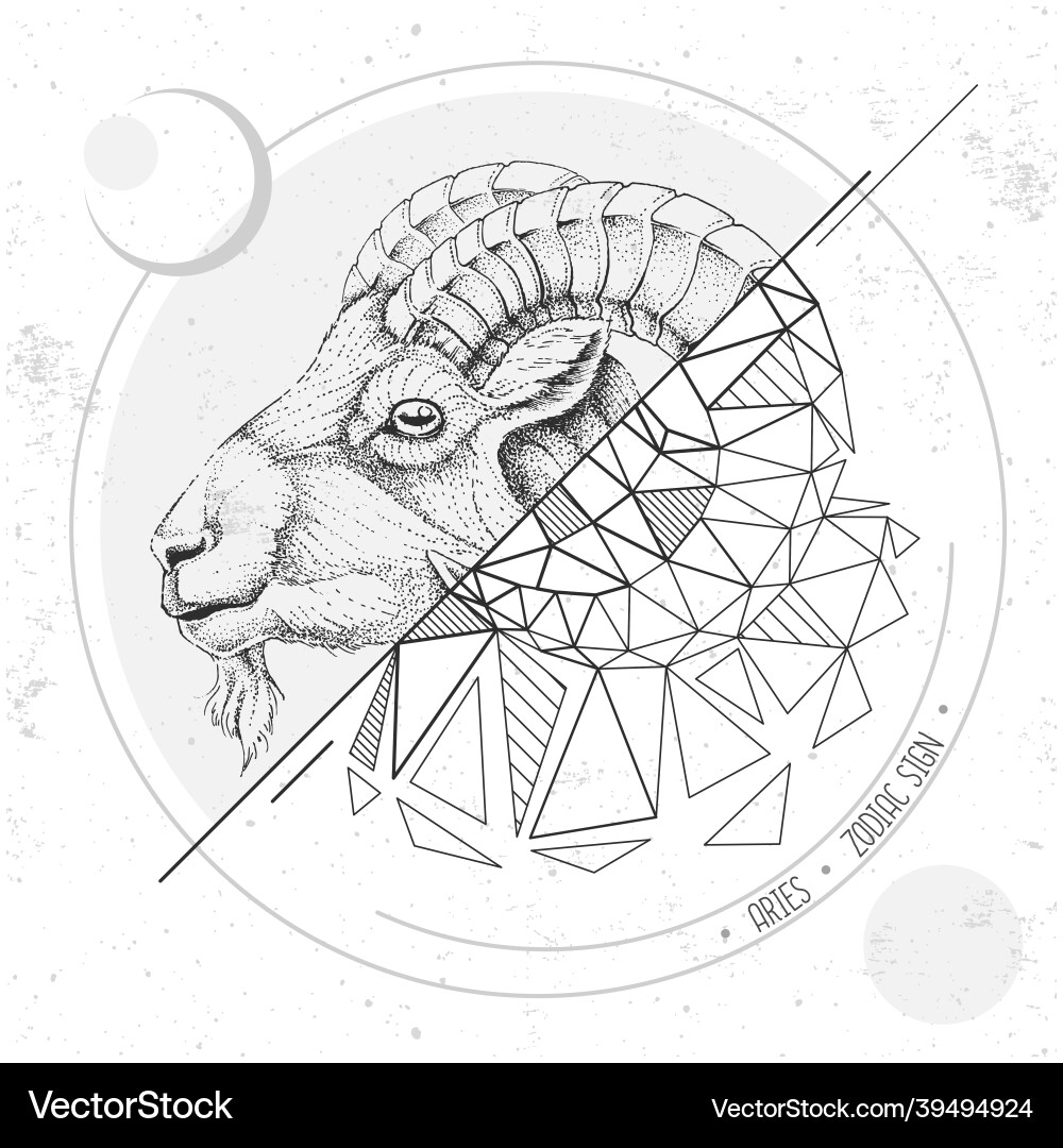 Magic card with astrology aries zodiac sign vector image