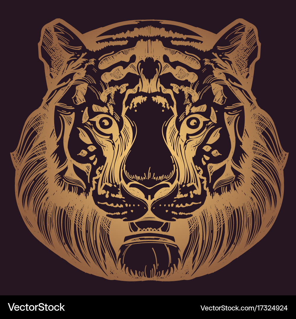 Muzzle of a tiger for creating sketches vector image