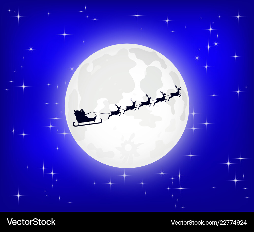 Santa Claus Sleigh at Night Vector Image