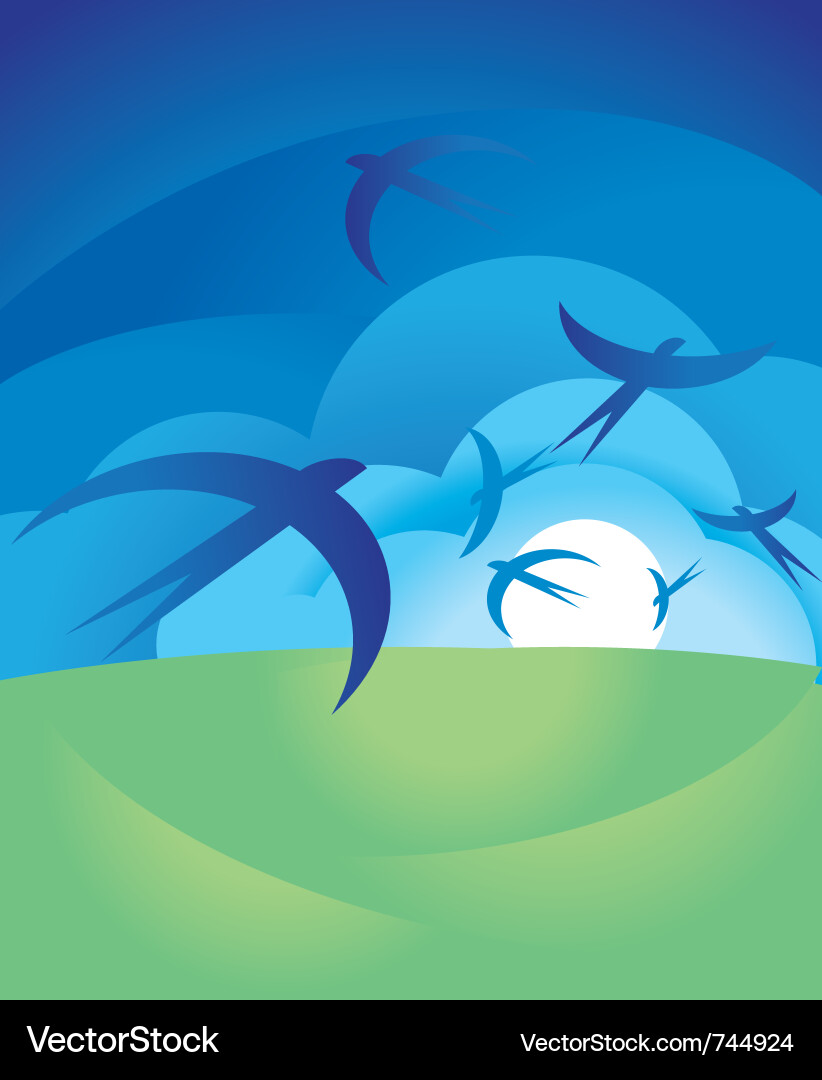 Spring swallow Vector Image