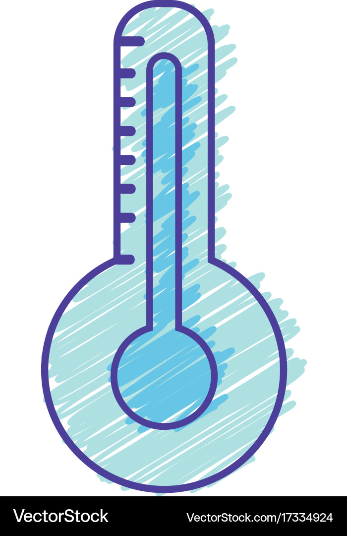 Thermometer measure of temperature and indicator Vector Image