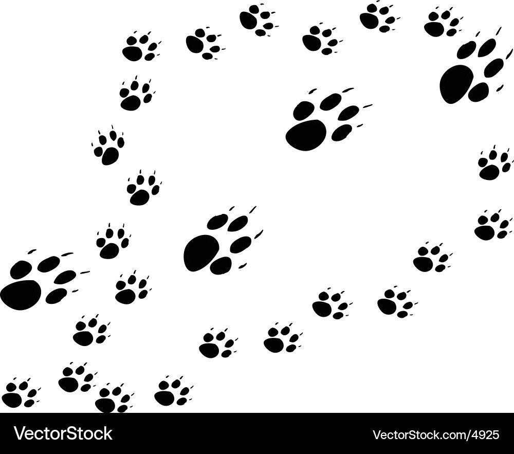 Dog Paw Prints Pattern vector image