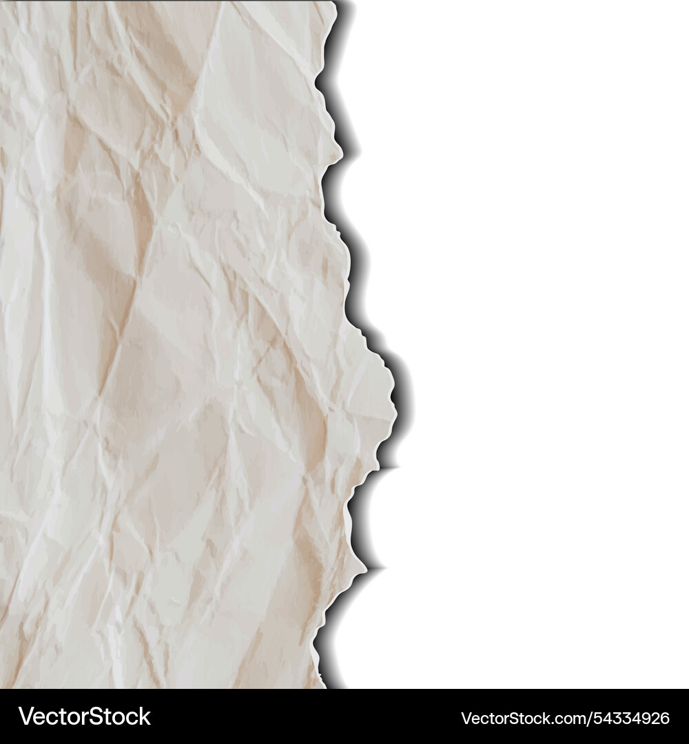 Crumpled paper with space for your text Vector Image