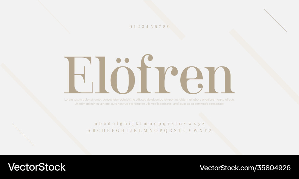 Elegant modern alphabet letters font and number vector image