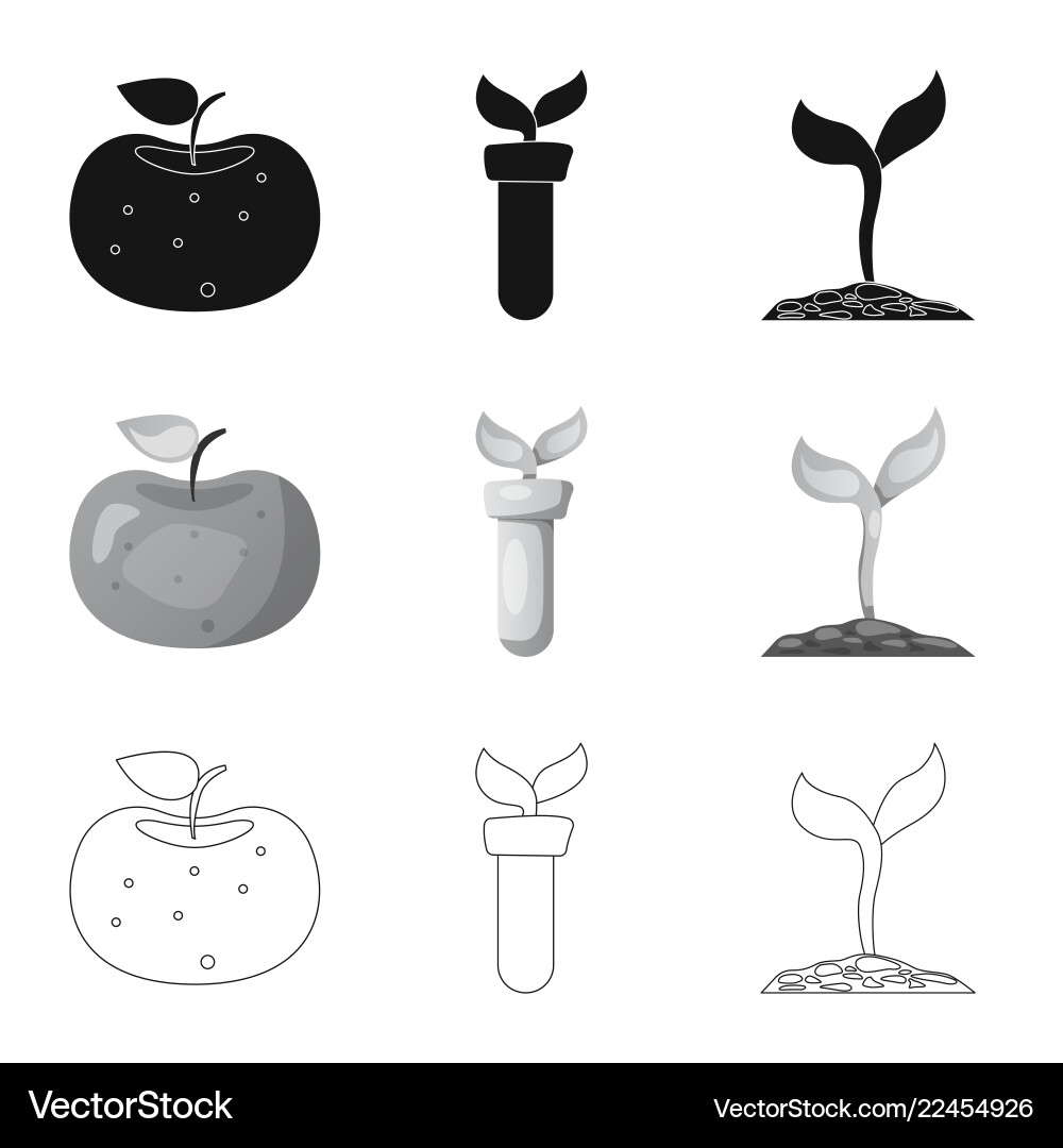 Isolated object of and icon collection vector image