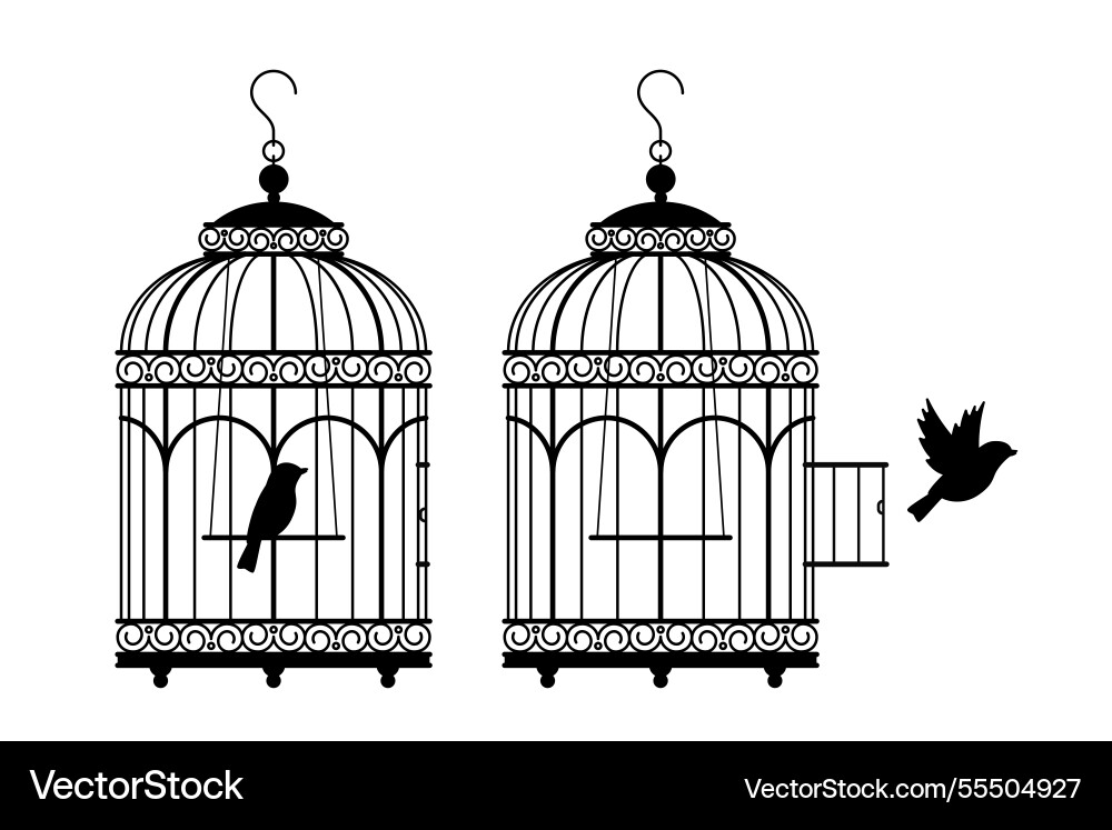 Bird in cage and canary flying out Bird in cage and canary flying out vector image
