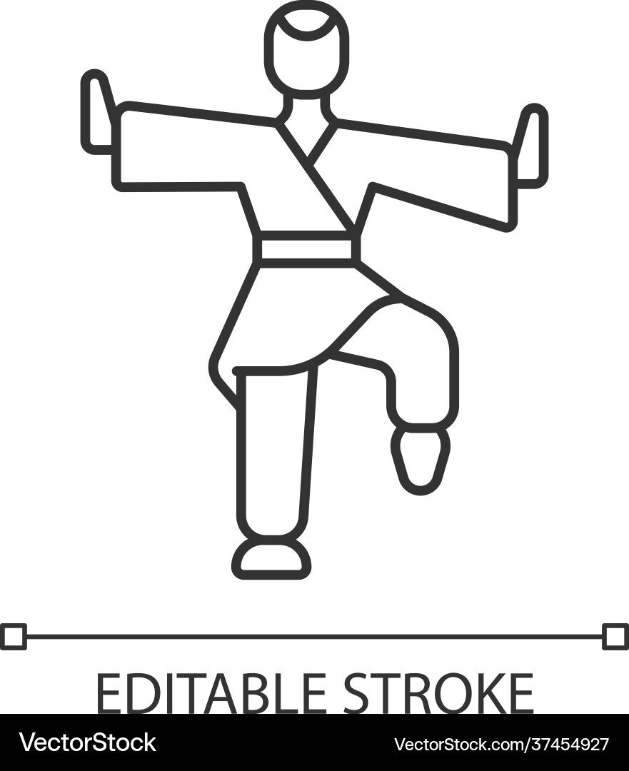 Kung fu linear icon Kung fu linear icon vector image
