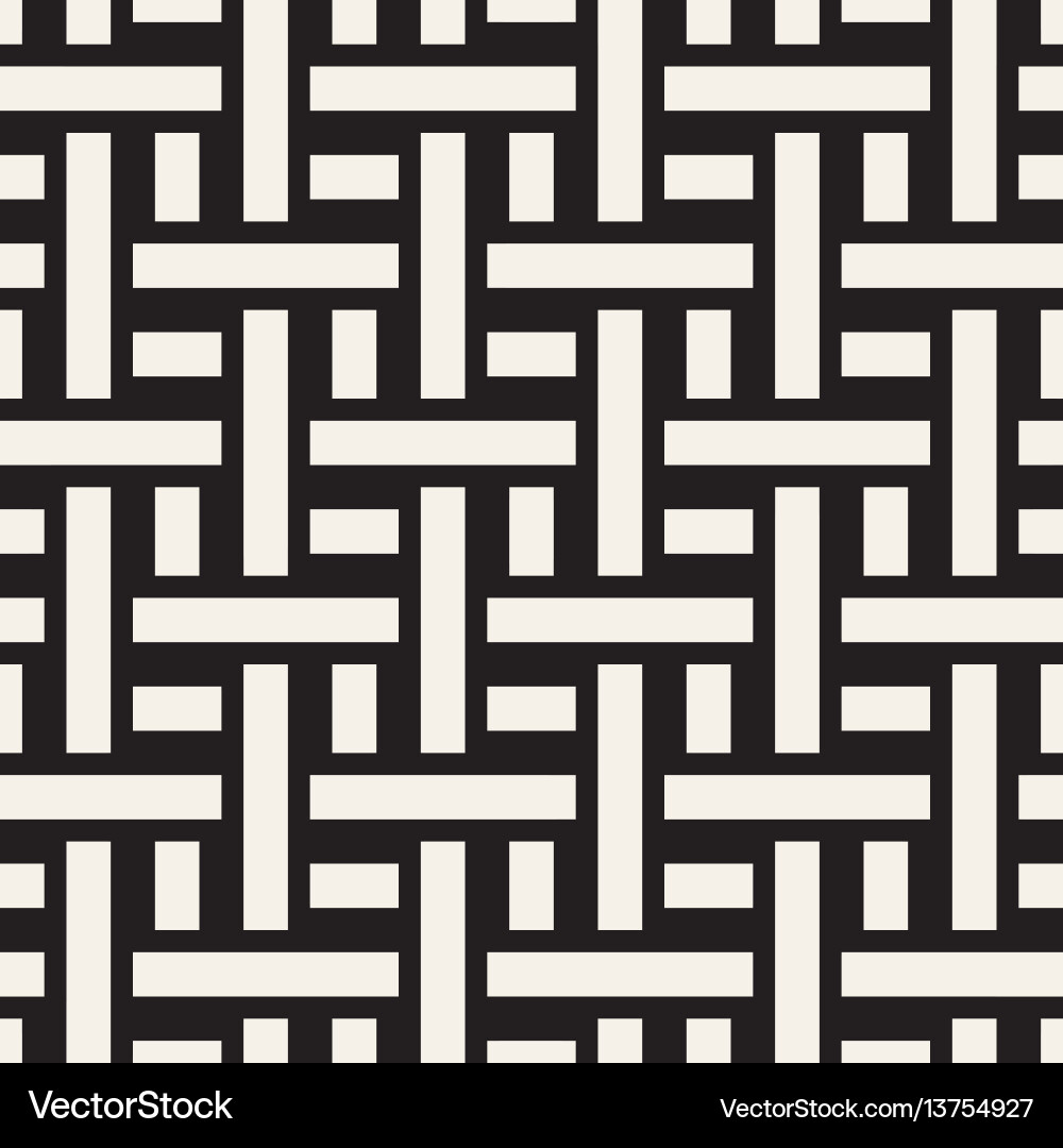 Modern Monochrome Weave Pattern Vector Image