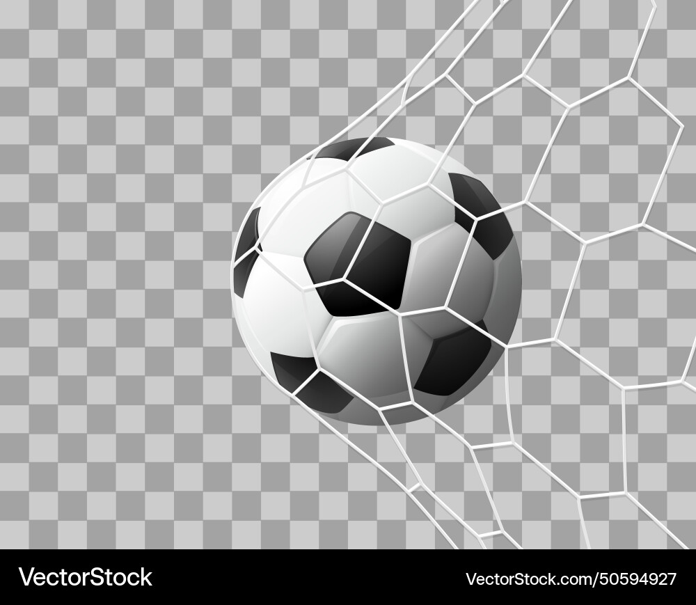 Realistic soccer ball hitting the net isolated Vector Image