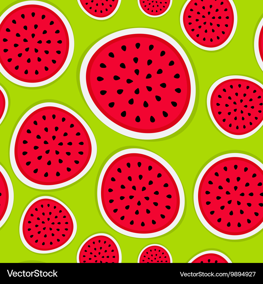 Seamless pattern background from watermelon vector image
