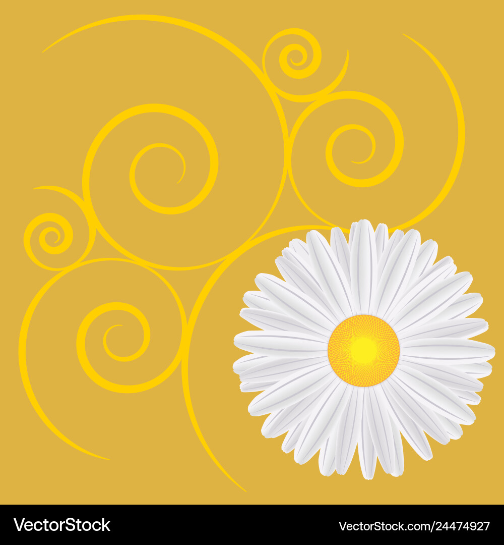 Spring background with dandelions vector image