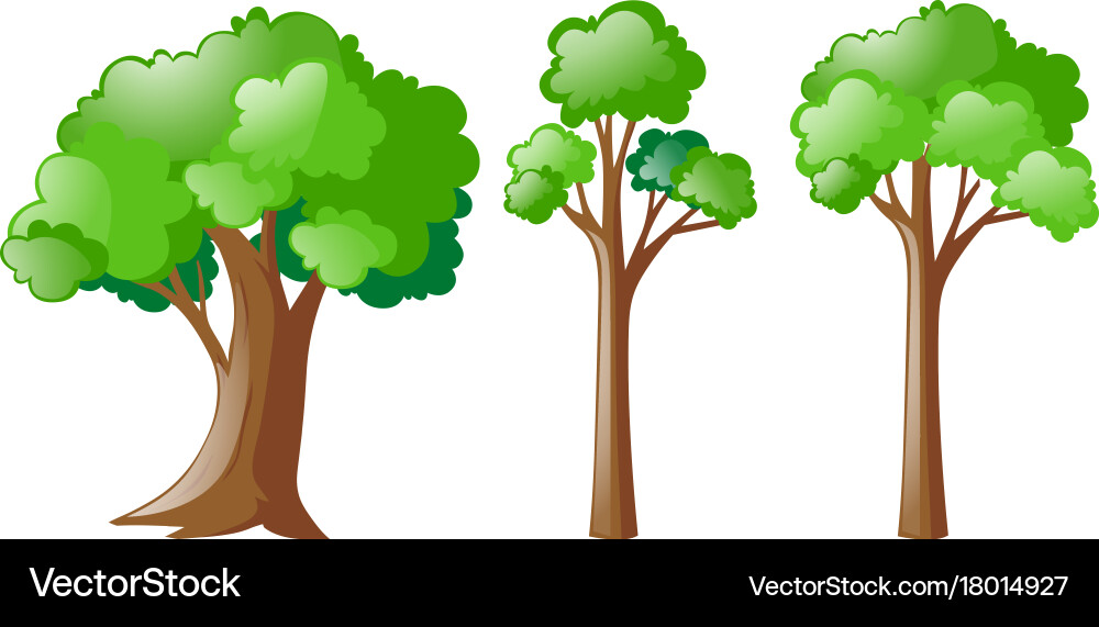 Three types of tree Vector Image