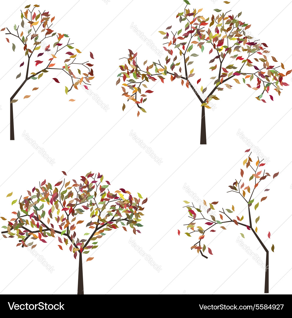 Tree with autumn leafage vector image