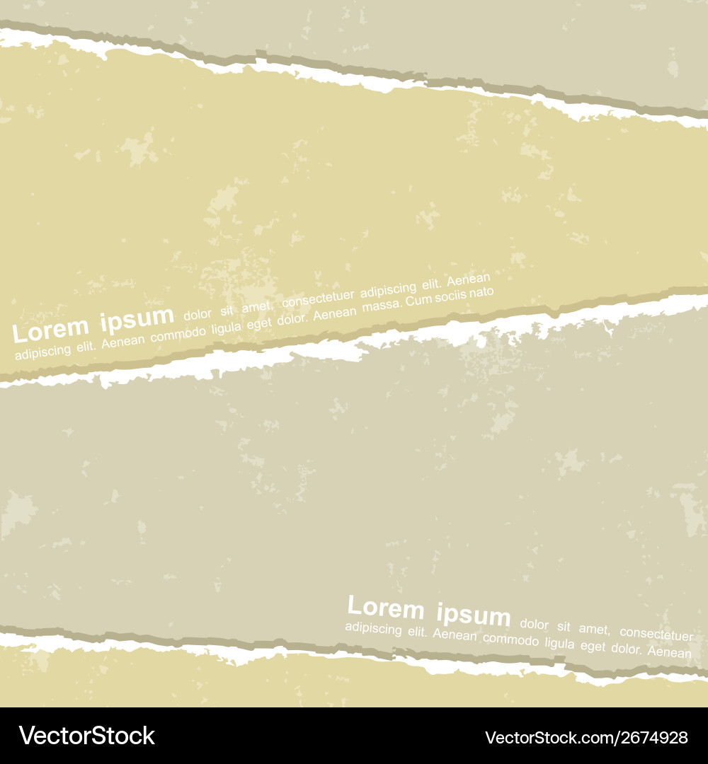 Design with different torn papers vector image