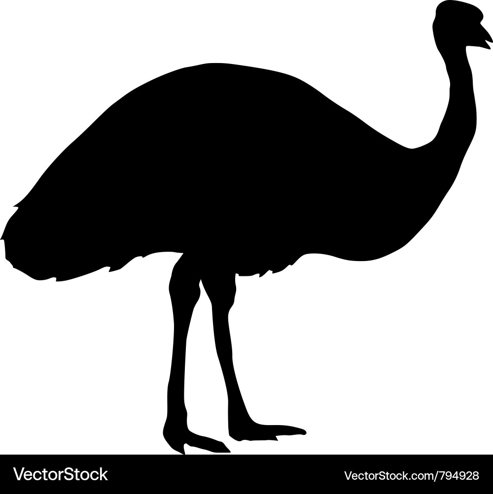 Emu Silhouette vector image