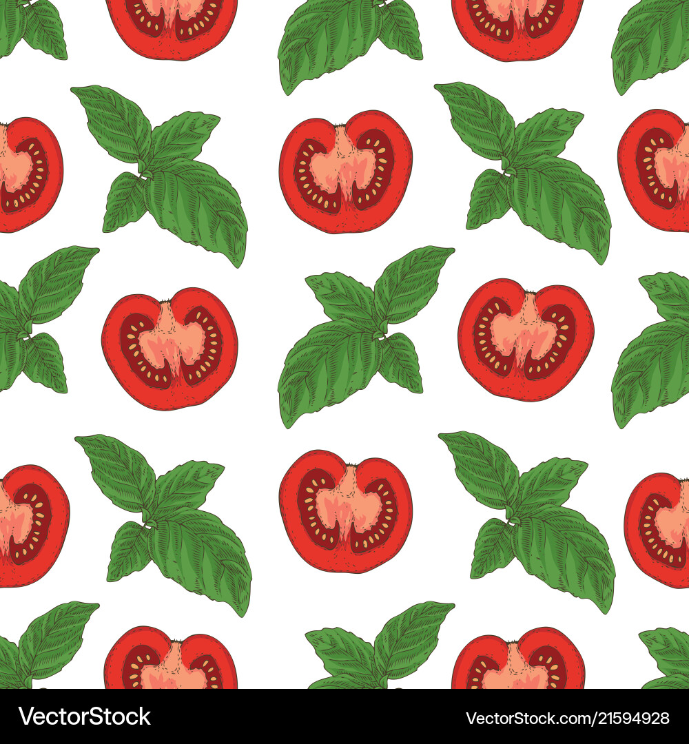 Seamless pattern tomatoes and basil Seamless pattern tomatoes and basil vector image