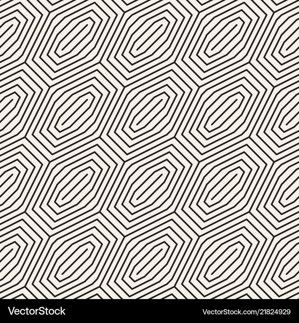 Geometric Hexagon Pattern vector image
